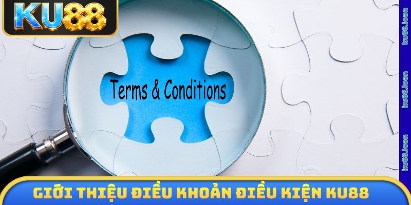 Giới thiệu điều khoản điều kiện KU88