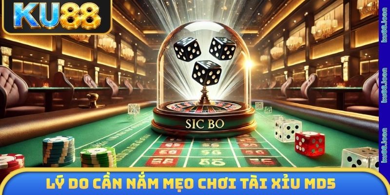 Lý do cần nắm mẹo chơi tài xỉu MD5